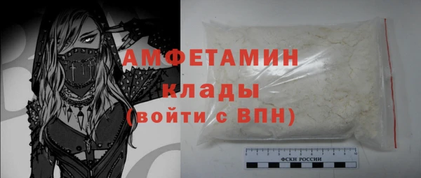 хмурый Арсеньев