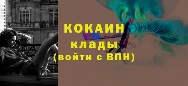 хмурый Арсеньев