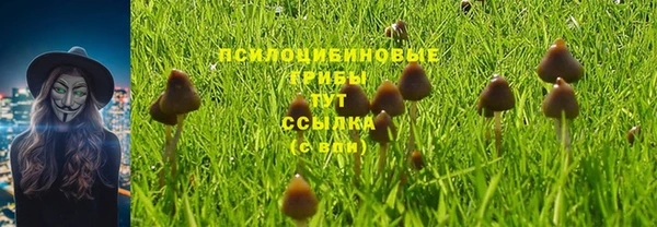 хмурый Арсеньев