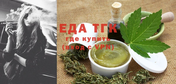 хмурый Арсеньев