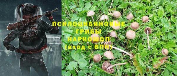 хмурый Арсеньев