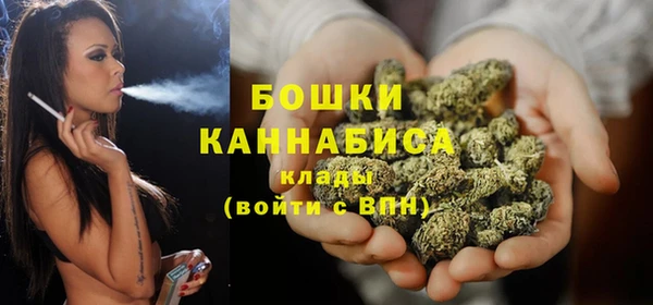 хмурый Арсеньев