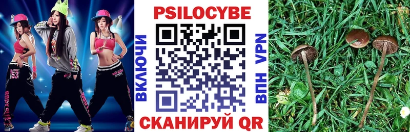 Купить где  Колпашево  Галлюциногенные грибы мицелий 